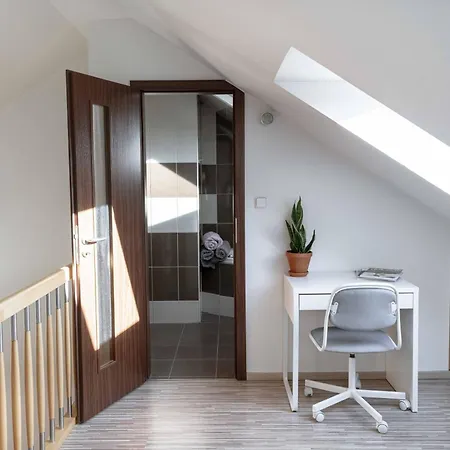 דירה 150m² 4br Duplex Near Metro & Center פראג